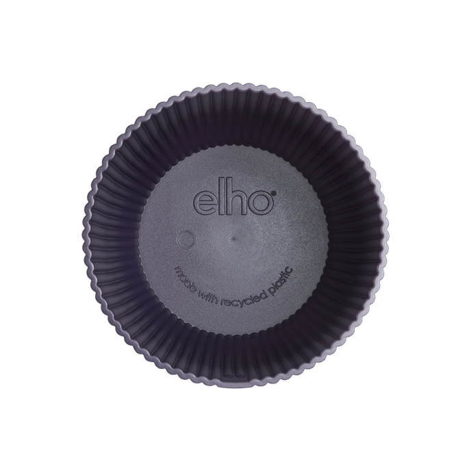 the winery collection 18cm morado oscuro